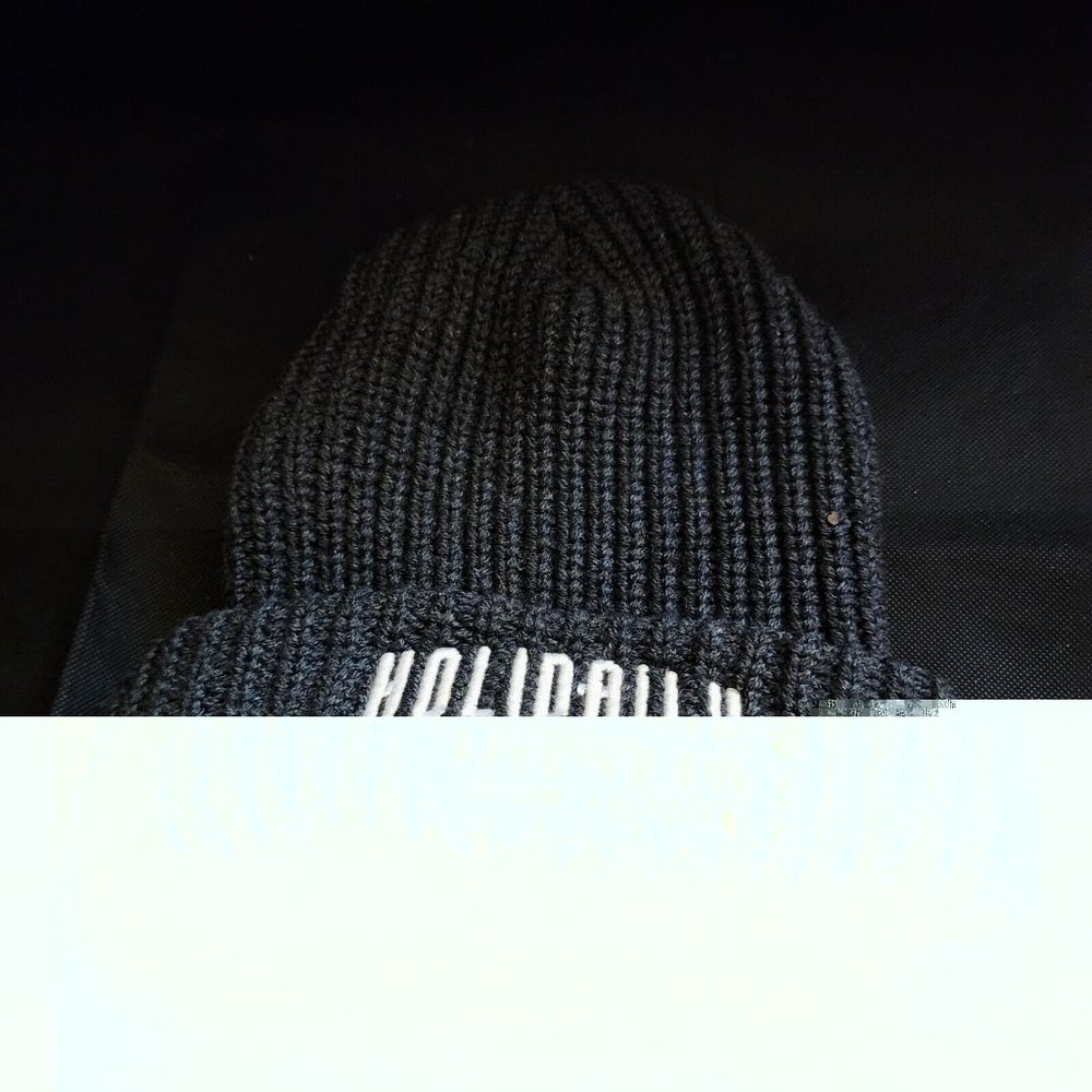 Holidaily Brewing Co. Holden Colorado Skateboards Beanie Logo Gray